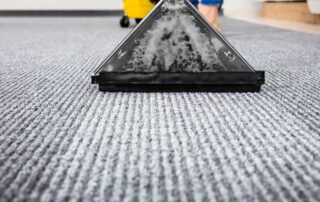 This image shows a woman using a vacuum to clean a carpet.