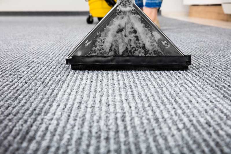 This image shows a woman using a vacuum to clean a carpet.
